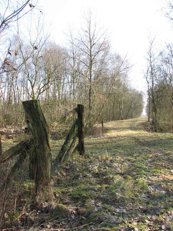 Spaziergang im Teufelsmoor