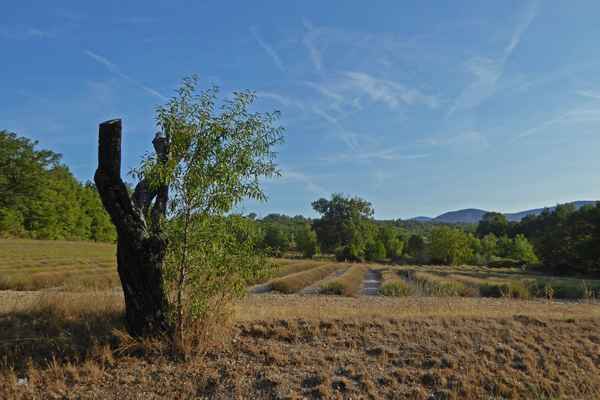 In der Nähe von Serres FR