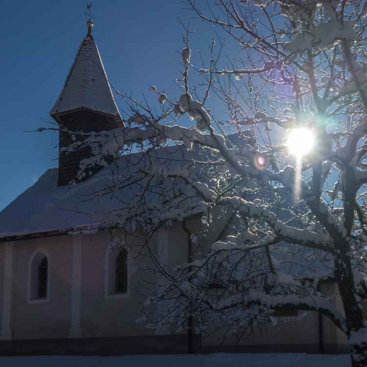 Im Gegenlicht