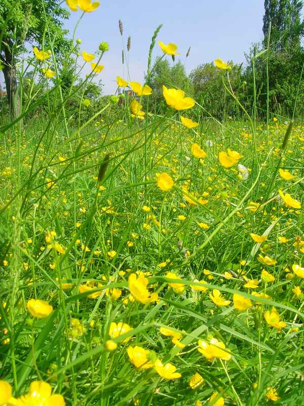 Wer hat noch Lust auf Frühling?