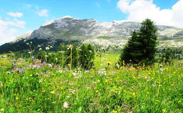 Wandern in den Dolomiten