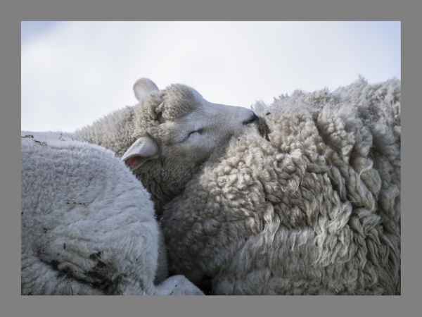 Deicharbeiter schlafend