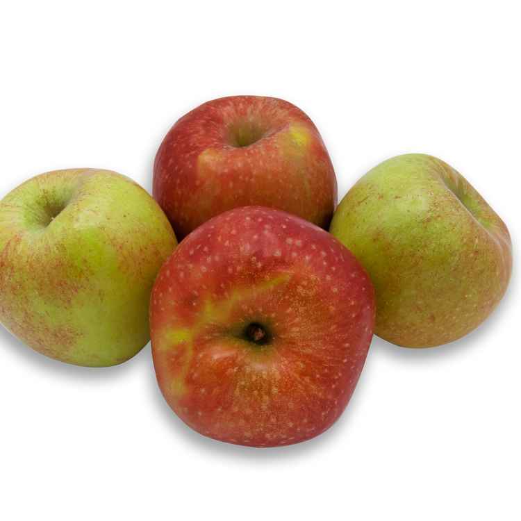 4 frische Äpfel