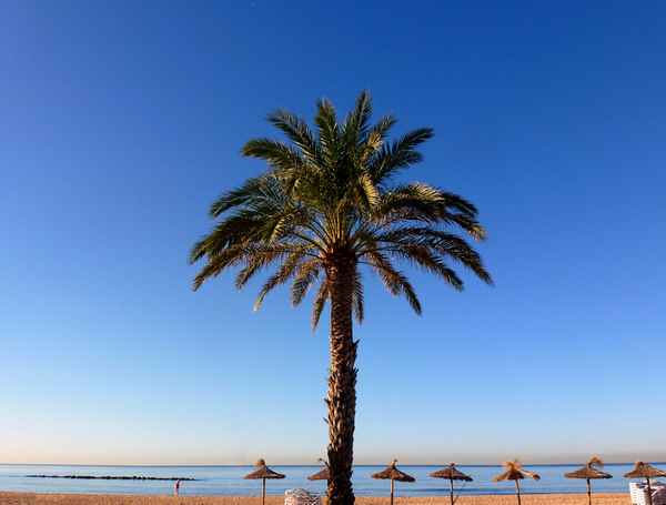 Morgens am leeren Strand