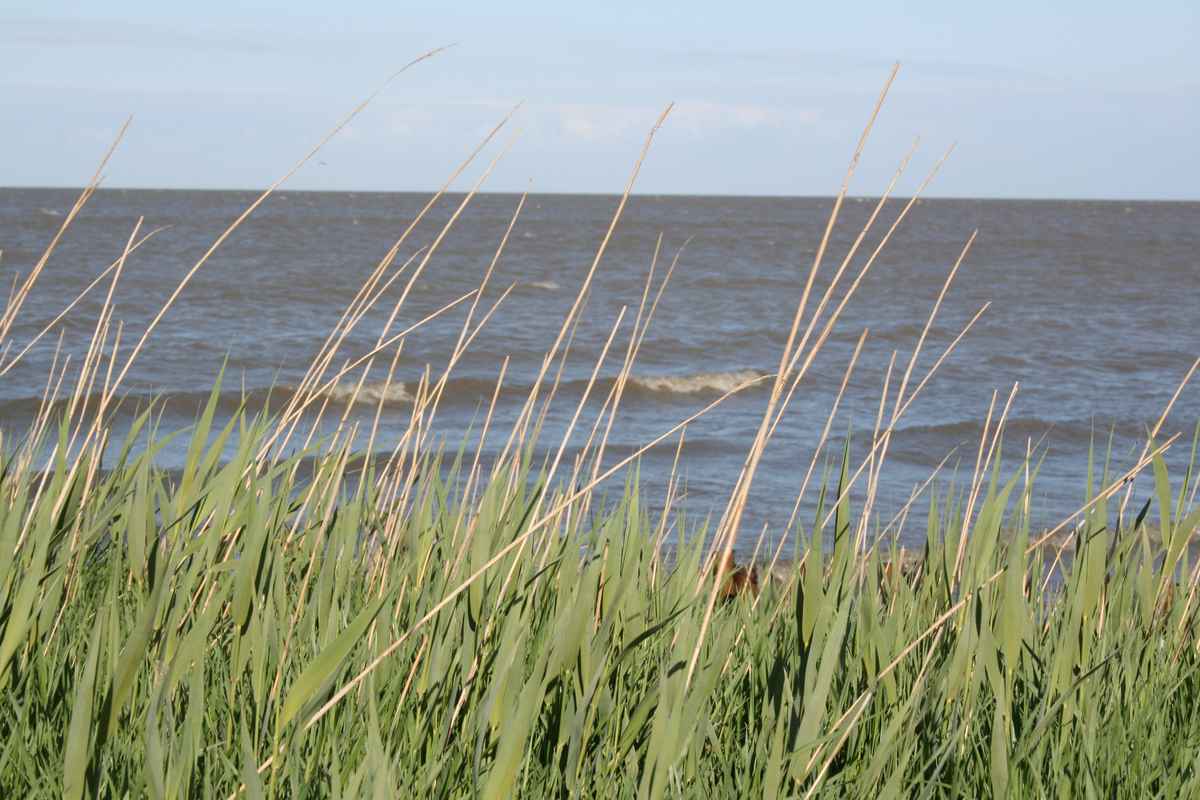 Sylt Dünen