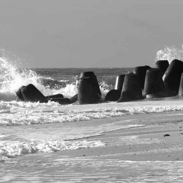 Tetrapoden an der Hörnum-Odde
