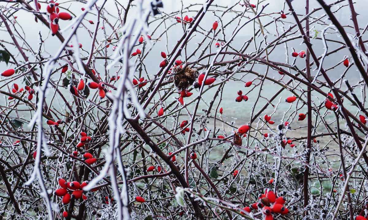 farbtupfer im nebelgrau