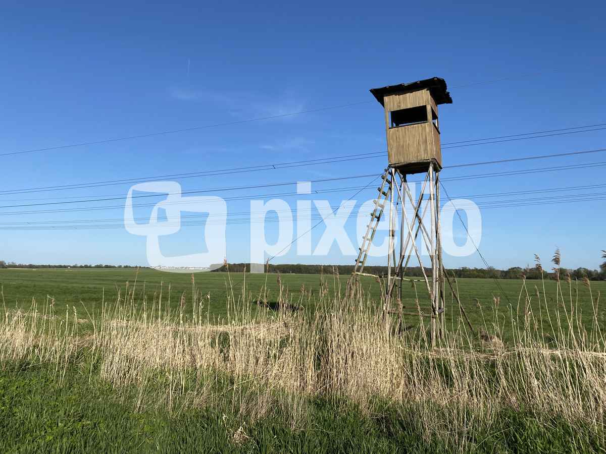 Hochsitz - Jägerstand - Ansitzeinrichtung / Foto: Alexander Hauk