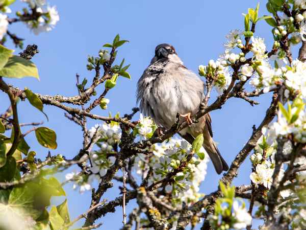Elegante Fußhaltung