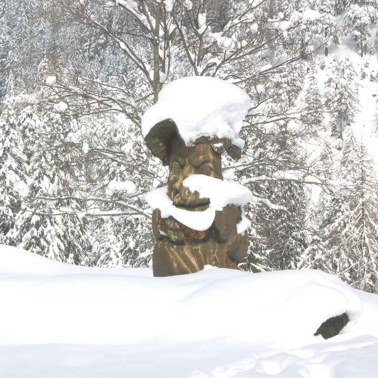 Schneezwerg