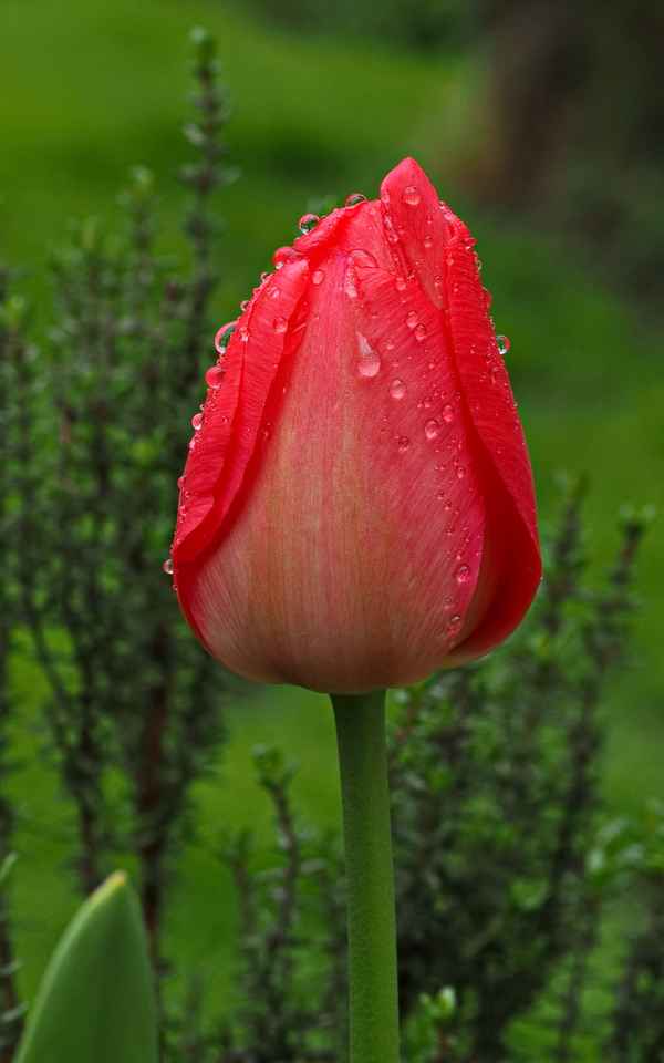 regen kann auch schön sein