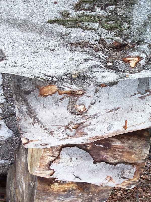 Holz am Weg