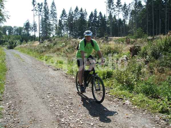 Im Wald unterwegs