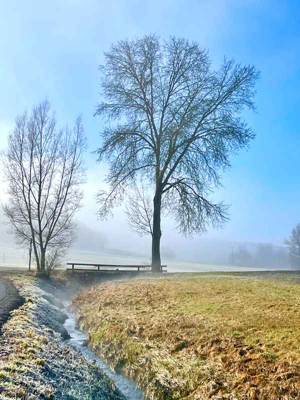Vor dem Frühjahr