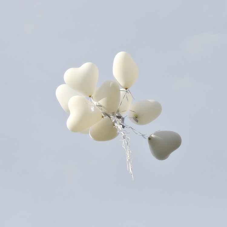 Lasst die Herzen fliegen