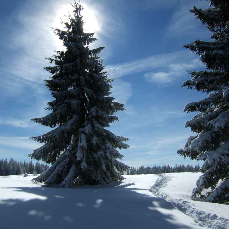 Postkarten-Winterlandschaft