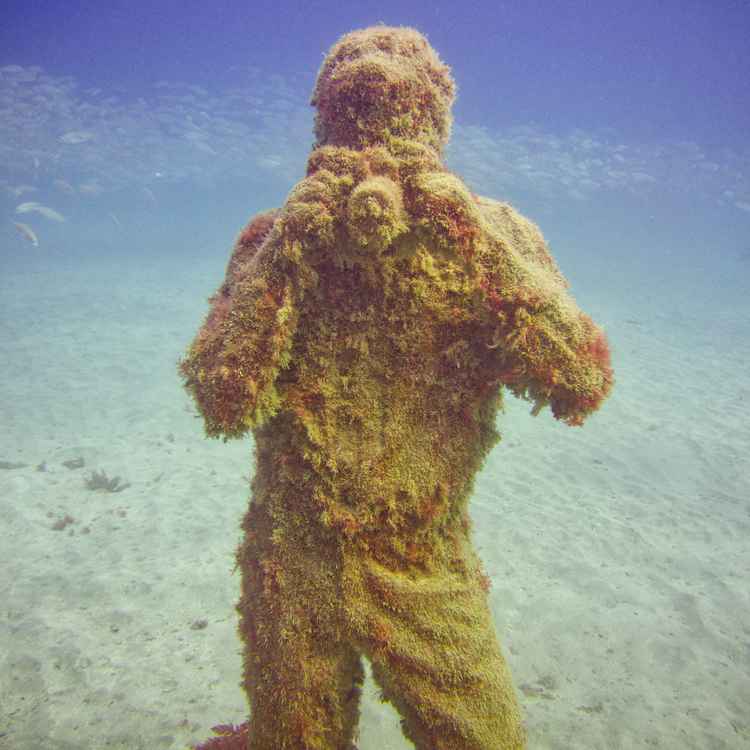 Museo Atlántico - Fotograf