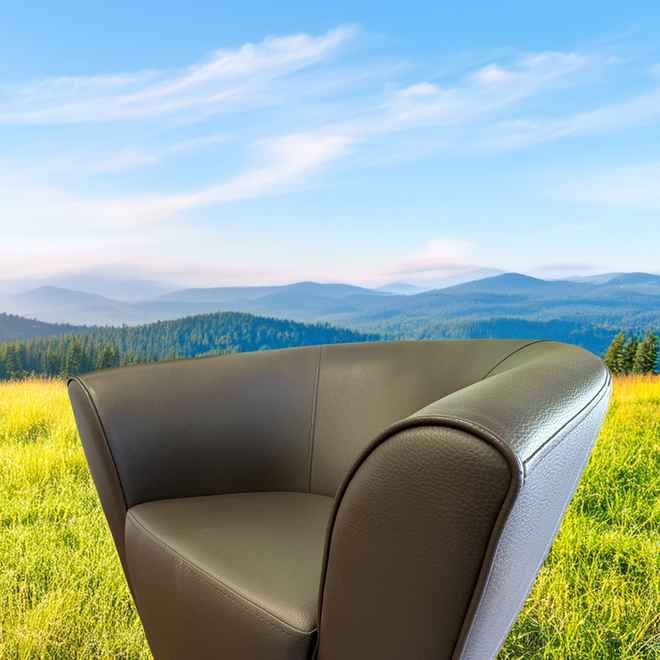 Ledersessel zum Wohlf&uuml;hlen