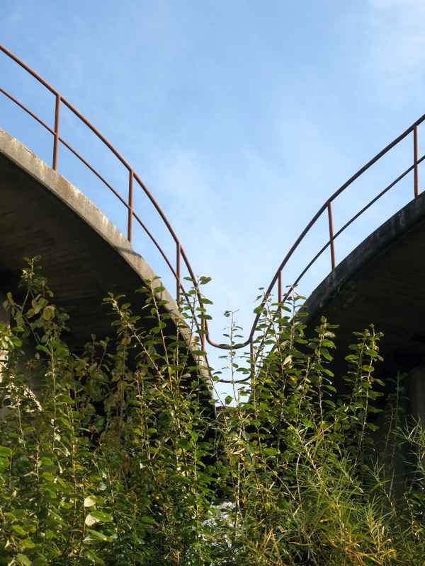 Alte Werkstürme-ausgedient, Heimat der Falken