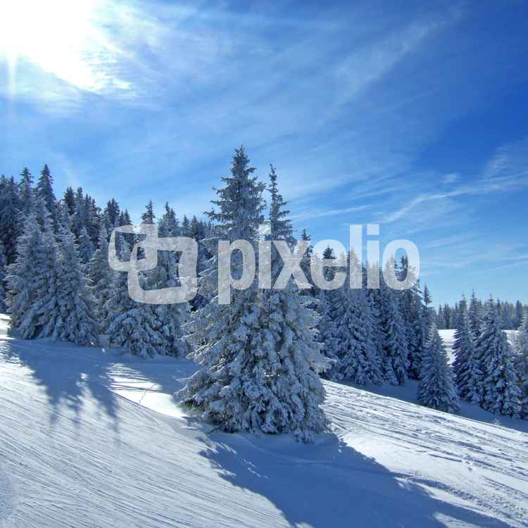 Sonniger Wintertraum