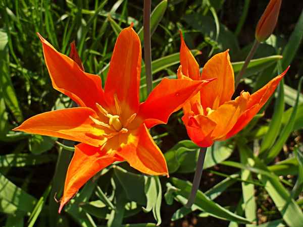 Frühling