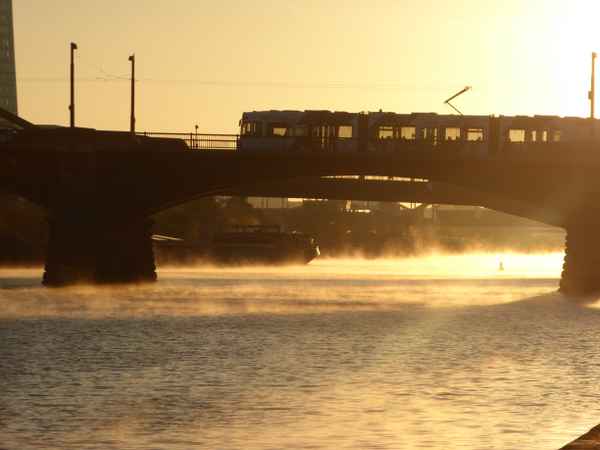 Morgennebel auf dem Main