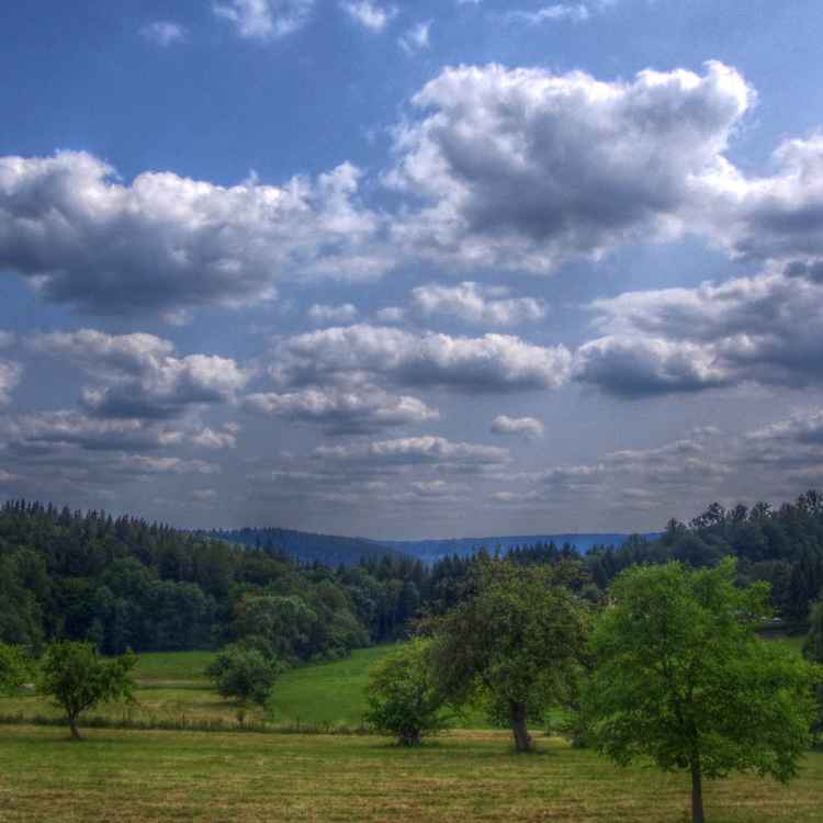 im Odenwald