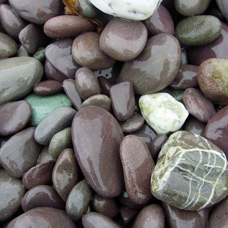 Kieselsteine