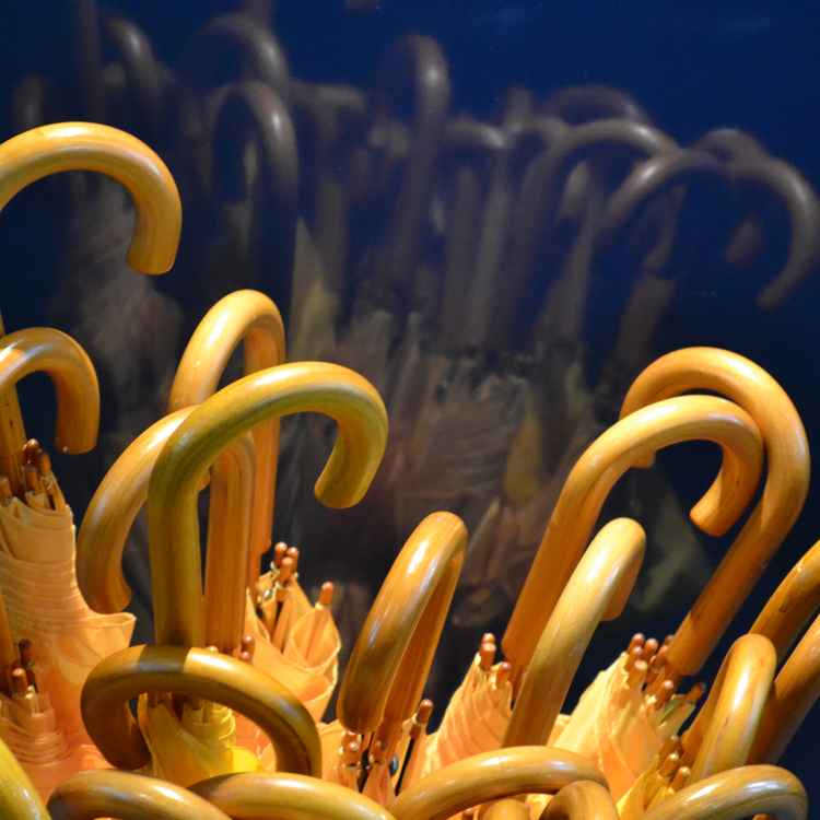 Regen Regen Regenschirm