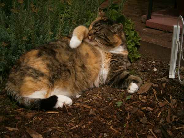 Autsch, da hat mich was gestochen