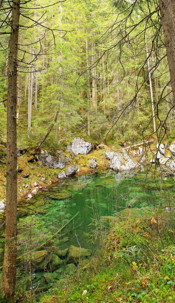 Idylle in grün