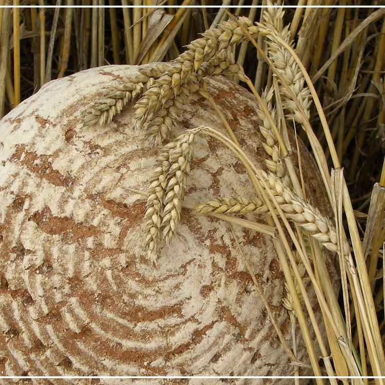 Unser täglich Brot..."