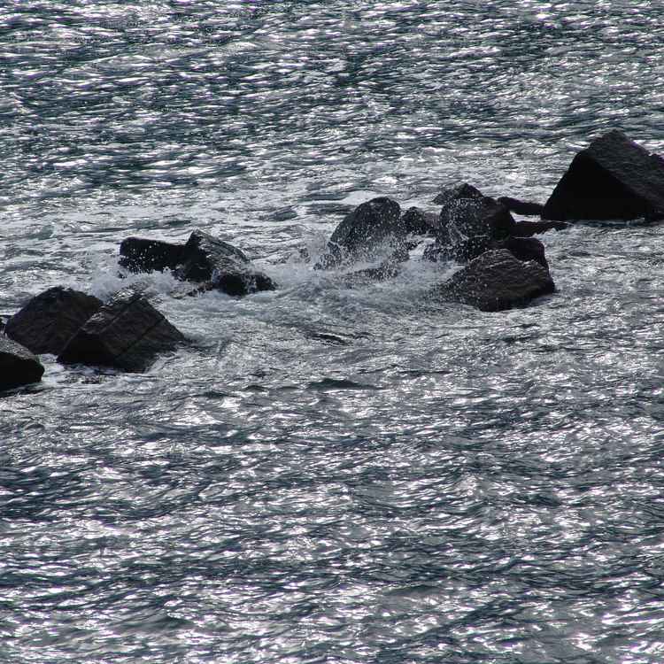 Steine im Meer