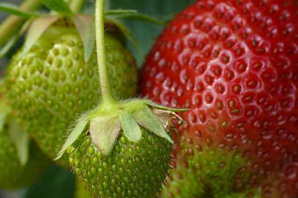 noch etwas abwarten...