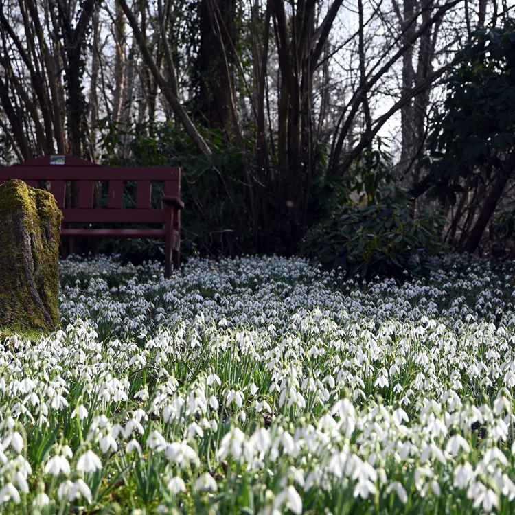 Auftanken bei den Bl&uuml;ten