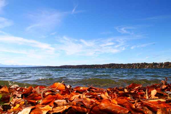 Herbst.Ufer