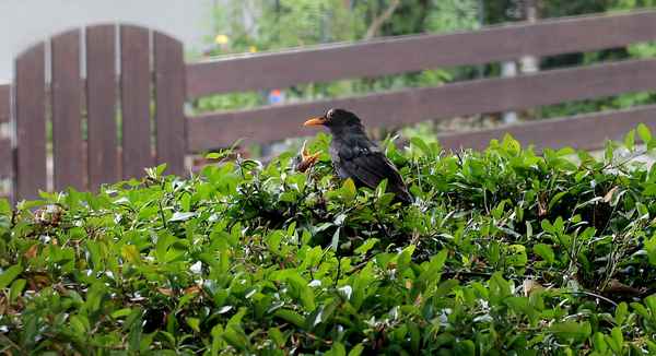 "War das schon alles?"