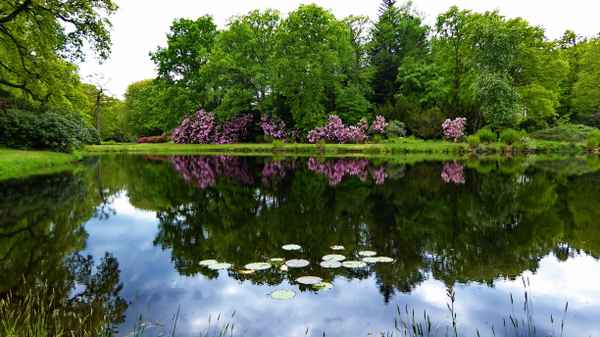 Lütetsburger Schloßpark