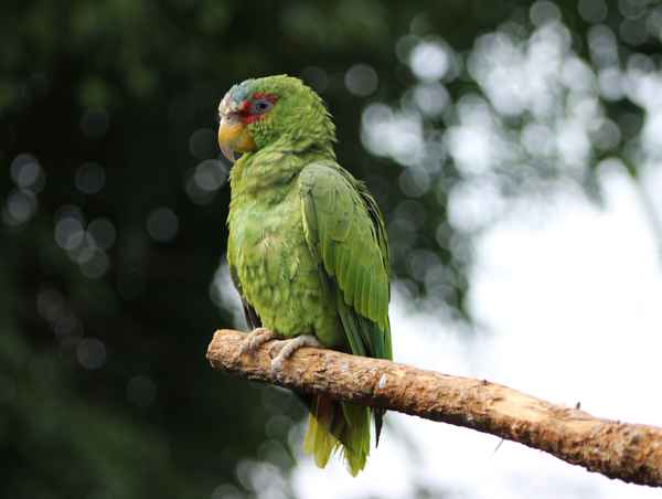 An mir kommt keiner vorbei!