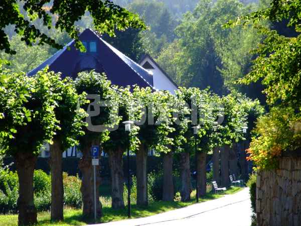 Allee