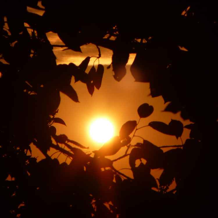 Sonnenuntergang, 19. September 2007