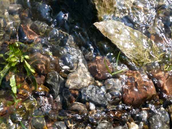 Am Ufer der Weser...