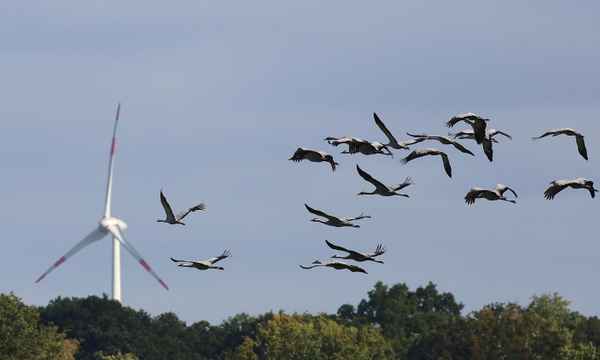 einflug zum rastplatz
