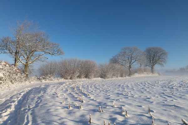 Knicklandschaft im Winter