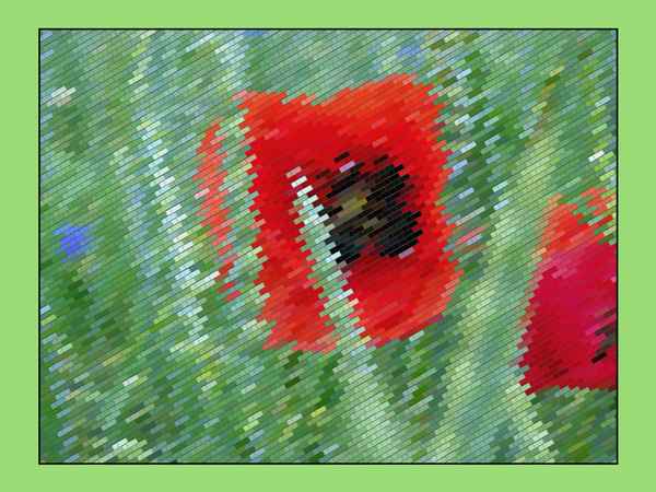 Mohnblumen-Facetten