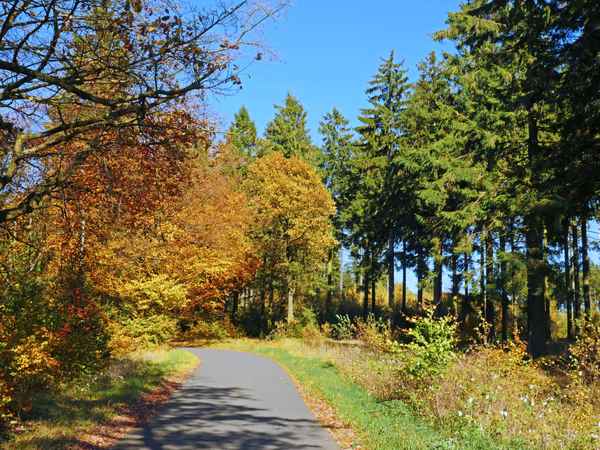 Herbst im Sauerland