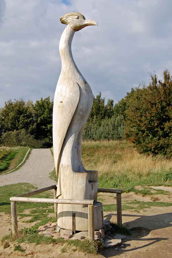 See(h)vogel