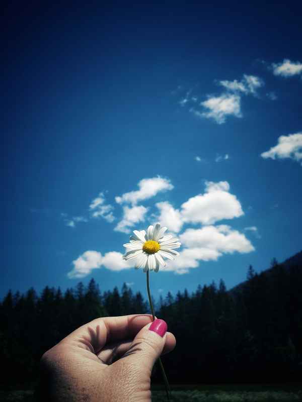 Den Sommer in der Hand