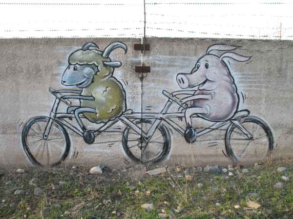 tierisch abradeln