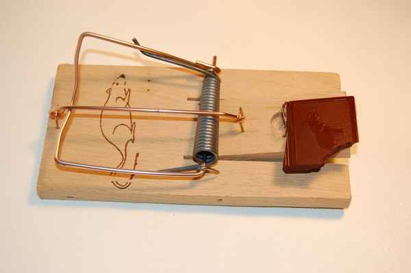 gefährliches Naschen